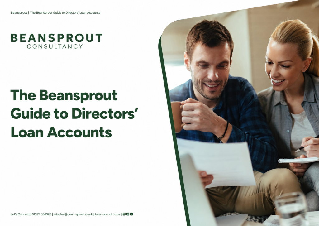 Beansprout consultancy - guide to directors accounts
