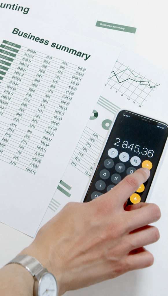Beansprout consultancy - Outsourced Finance - next to tax and compliance support
