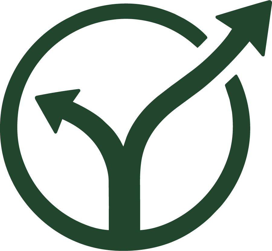 Beansprout consultancy - Beansprout consultancy